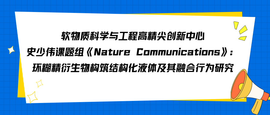 成果图片