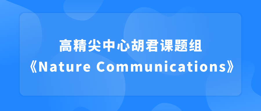 成果图片